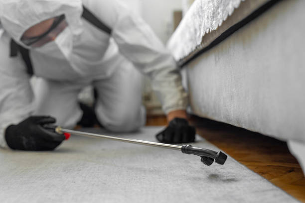 Professional Termite Control technician working in Orange, TX
