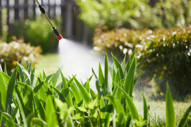 24/7 Emergency Termite Control experts in Orange, TX