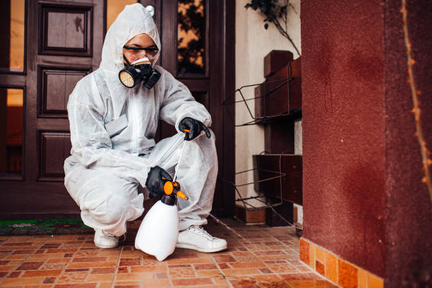 Reliable Termite Control contractor in Orange, TX by Nex Pest Control