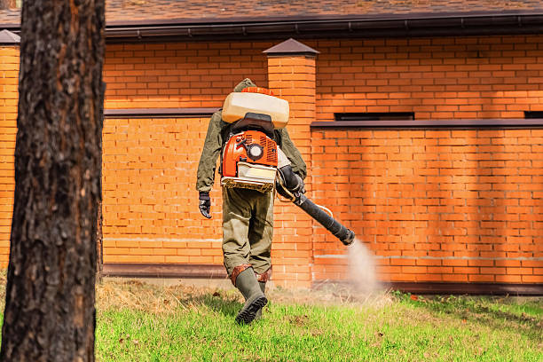 Top rated local Termite Control specialists in Orange, TX